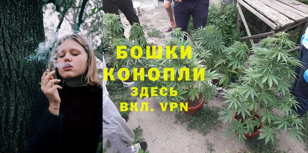 Альфа ПВП Липки