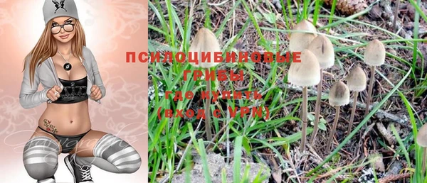 Альфа ПВП Липки